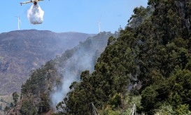 Proteção Civil da Madeira alerta para perigo de incêndios devido a tempo quente.