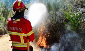 Oito bombeiros detidos por suspeita de violação e coação sexual impedidos de frequentar quartel