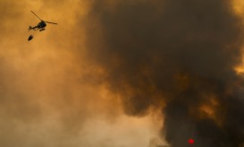 Fogo em Abrantes mobiliza 190 operacionais e sete meios aéreos