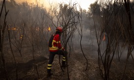 Dominado fogo florestal no concelho de Avis