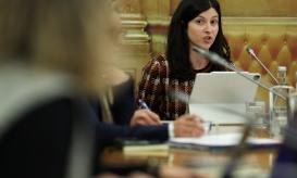 DGS reconhece que falta de dados impede panorama completo das cesarianas