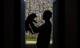 Médicos veterinários lançam petição pela alteração do IVA nos serviços de animais de companhia