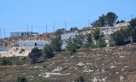 Portugal e oito países da UE querem investigação sobre comércio que pode ajudar colonatos israelitas