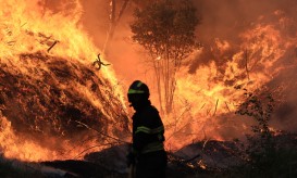 Governo estima em 20 ME as despesas extraordinárias dos bombeiros