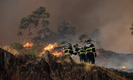Maioria dos distritos das regiões Norte, Centro e Algarve em risco máximo de incêndio
