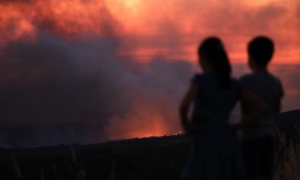Fogo em Nisa terá consumido mil hectares, situação "ainda preocupante"
