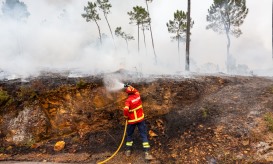EN18 cortada entre Ródão e Nisa e A41 entre Paços de Ferreira e Espinho
