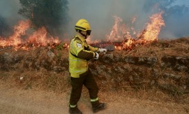 Incêndio arde com intensidade em Sabrosa e aproxima-se de aldeias