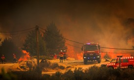 Autarca de Vila Real volta a apelar a reforço de meios para combater fogo