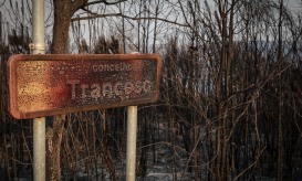 Complexo do fogo Sátão/Trancoso entra em resolução