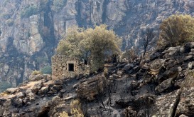 Douro Internacional exige medidas céleres para compensar prejuízos dos incêndios
