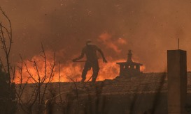 Livre, PCP e BE acusam Governo de alheamento e falta de resposta aos incêndios