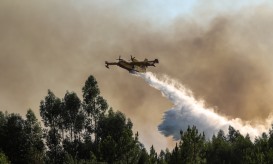 Fogo obriga a evacuar cinco aldeias de Pedrógão Grande
