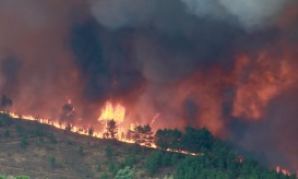 Vinte e dois concelhos de cinco distritos em perigo muito elevado de incêndio