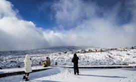 Quinze distritos de Portugal continental sob aviso amarelo devido à neve e ondulação
