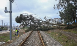 Linha do Oeste vai demorar "no minimo nove meses" a ficar operacional - ministro