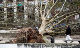 Vários distritos com avisos devido a chuva, vento, neve e agitação marítima