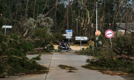 "Parte significativa" do território afetado pelo mau tempo continua sem comunicações – ANMP