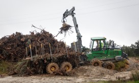 Pombal tem 2.400 km de caminhos florestais para limpar - Câmara