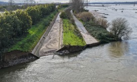 Especialistas denunciam falta de manutenção da obra hidráulica do Baixo Mondego