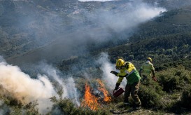 Ministro da Administração Interna reconhece que o verão vai ser “muito duro” no risco de incêndios florestais