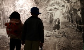 REPORTAGEM: A fruta que se tornou uma imagem de marca da Madeira e tem agora um museu (C/ÁUDIO, VÍDEO e FOTOS)