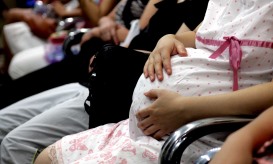 No Dia da Mãe, IL recomenda ao Governo que regulamente gestão de substituição