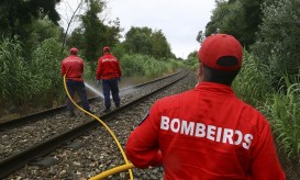 Linha do Norte cortada após atropelamento mortal em Paramos, Espinho