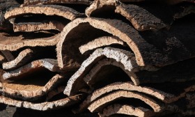 Lucro da Corticeira Amorim cai 20,3% para 55,6 ME em 2025