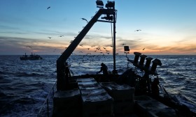 Governo disponibiliza apoio extraordinário de 3,5 ME para setor da pesca