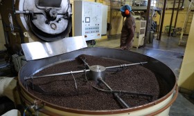 Moçambique sonha em estar entre os principais produtores de café do continente
