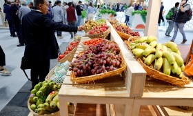 Fruit Attraction arranca em Madrid e Portugal está representado por 50 empresas