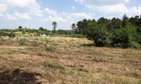 Fundo Ambiental apoia instalação de centrais de biomassa em seis municípios com 2 ME