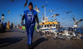 Mau tempo: Pescadores falam em “impacto recorde” com barcos parados desde dezembro