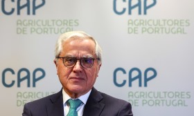 Agricultores pedem aos governantes que se entendam após 16 reprogramações do PDR