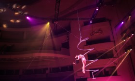 Novo circo de Natal do Coliseu do Porto traz Cícero para mestre-de-cerimónias