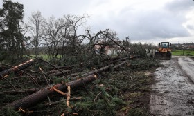 CAP já recebeu indicações de prejuízos da ordem dos 130 ME