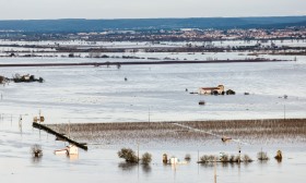 Setores agrícola e florestal com prejuízo de 775 ME devido ao mau tempo