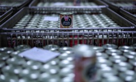 Portral interessada em adquirir insolvente Sicasal