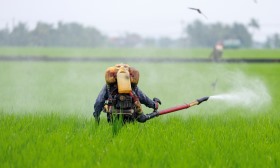 Bloqueio do transporte de fertilizantes arrisca provocar uma crise humanitária - ONU