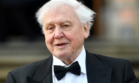 Famoso naturalista britânico David Attenborough completa 100 anos