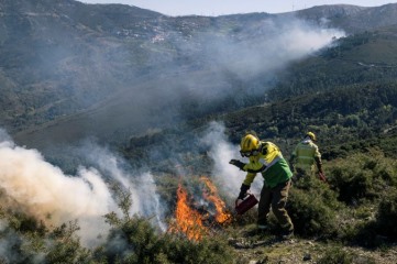 Portugal: Very high summer wildfire risk due to winter storms - minister