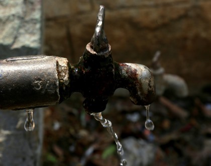 Associação Quercus pede ao Governo medidas para travar perdas de água