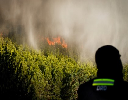 Face a risco muito elevado de incêndios Cascais declara Alerta Municipal e Sintra encerra alguns monumentos