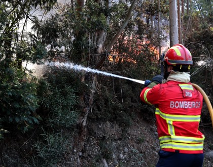 Incêndio rural no norte da Madeira em fase de rescaldo - Proteção Civil