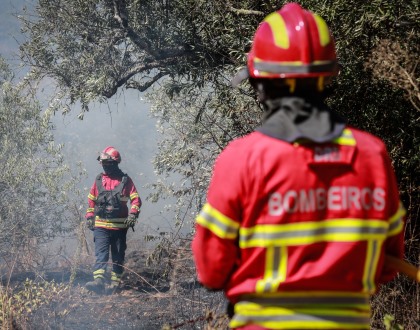 Dominado fogo na zona de Vidigueira que chegou a mobilizar 188 operacionais