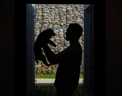 Médicos veterinários lançam petição pela alteração do IVA nos serviços de animais de companhia