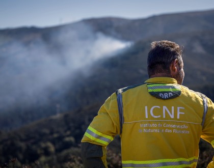 ICNF atualiza limites de 6 áreas protegidas e consulta pública abre sexta-feira