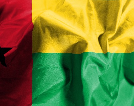 Guiné-Bissau: CEDEAO vai impor "sanções específicas" a quem entre no processo de transição