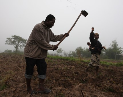 Alemanha financia com 45,5 ME projetos de agricultura em Moçambique